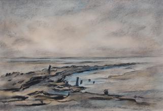 Johan Faber<br />Waddenkust