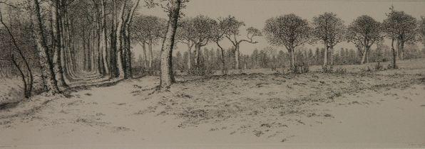 Reinder Homan<br />Landschap bij Noordlaren